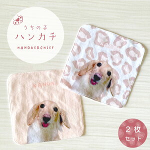 ̎qnJ` ~j^I ʐ^  2Zbg 20×20cm qE ybg  L nX^[  ̎qObY ybgObY ^I IWi^I