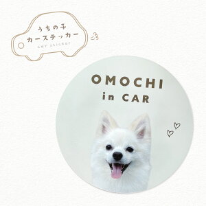 J[}Olbg ی^ 10×10cm ʐ^  ybg  L nX^[  ̎q A ObY