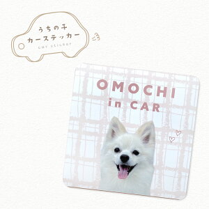 J[}Olbg lp^ 10×10cm ʐ^  ybg  L nX^[  ̎q A ObY