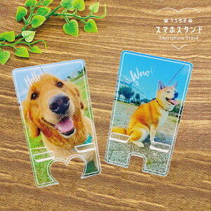 X}zX^h ʐ^  ybg  L  nX^[ ̎q qǂ  IWi AN X^h X}z fUCE