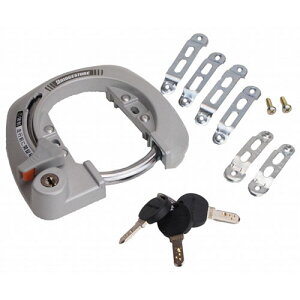 y[J[izyK㗝XizuaXg BSbNIII Plus CL-BS3.A Vo[ y]ԗpiz