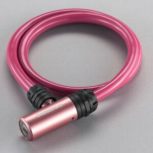 y[J[izyK㗝XizuaXg AbN WL-AD.B sN y]ԗpiz