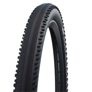 y[J[izyK㗝XizV(SCHWALBE) ^C nP[ 700x40C