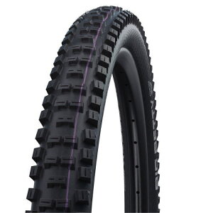y[J[izyK㗝XizV(SCHWALBE) ^C rbOxeB 29x2.40