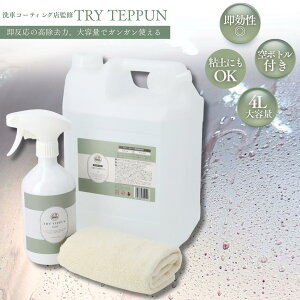   S   N[i[ Xv[  {fB zC[ Tr  Ɩp gCebv 4000ml {gt TRY TEPPUN gCEHbV TRY WASH