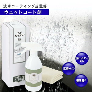   R[eBO  Xv[  EFbgR[ggCXvbV 500ml  J[ pi Gꂽ܂ {H zC[ O h C  gCEHbV ̓ Mtg