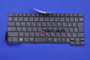 Lenovo ThinkPad T14s Gen 5AThinkPad P1 Gen 7 2025 21LS 21LT 21KV 21KW {L[{[h  obNCgt CopilotL[Ȃ