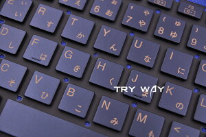 NEC�iLAVIE Note Mobile�j NM550/RAG PC-NM550RAG NM550/RAG-YC PC-NM550RAG-YC NM550/RAL PC-NM550RAL NM550/RAL-YC PC-NM550RAL-YC NM750/RAG PC-NM750RAG NM750/RAG-2 PC-NM750RAG-2 NM750/RAG-E3 PC-NM750RAG-E3 NM750/RAG-YC PC-NM750RAG-YC ���{��L�[�{�[�h