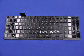 NEC（LAVIE Direct NS [Note Standard]） GN234B/C6 PC-GN234BCA6 PC-GN234BCD6 PC-GN234BCG6 PC-GN234BCL6 日本語キーボード