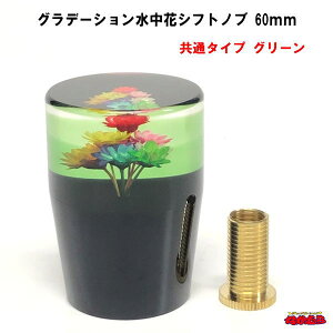 Of[VԃVtgmu@60mm@ʃ^Cv@O[