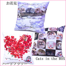 Henry Cats (ヘンリーキャット) 角型 クッション 45cm 全3種類 HenryCats&Friends 新生活応援 【RCP】【クーポン】【ロッカー受取対応商品】【コンビニ受取対応商品】【メール便不可・宅配便配送】