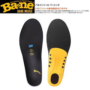 バネインソール ベーシック Bane バネ インソール 基本構造をもつモデル マラソン ランニング 新生活応援 母の日 父の日 GW特集 ゴルフ 【RCP】【DM便(旧メール便)・ネコポス・ゆうパケット対