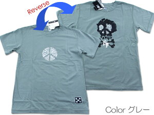 yyVX[p[SALEvCXzyAEgbgzFIVE POINTSY o[VuTVc M`XL(FKJ-98019)yDM([)ElR|XE䂤pPbgΉzyRrjΉiz