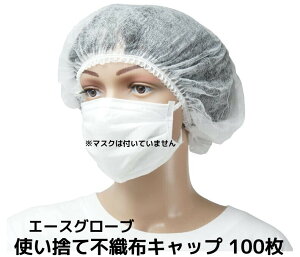 ĝăLbv ĝĕsDzLbv 100 t[TCY zCg qLbv WS6200 G[XO[u u񂹕iv