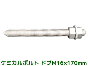 P~J{g AJ[{g hubL M16×170mm ؃{g1{ ibg2 bV[1 VJbg ʃJbgy񂹕iz