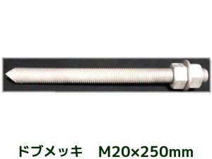 P~J{g AJ[{g Zbg hubL M20×250mm ؃{g1{ ibg2 bV[1 VJbg ʃJbgy񂹕iz