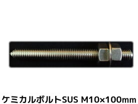 楽天市場 ステンレス アンカーボルト M10の通販