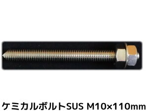 P~J{g AJ[{g XeX SUS M10×110mm ؃{g1{ ibg2 bV[1 VJbg ʃJbg SUS304y񂹕iz