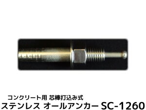 �T���R�[�e�N�m �I�[���A���J�[ SC-1260 M12×60mm 1�{ �X�e�����X�� SUS304�n �R���N���[�g�p �c�_�ō��ݎ��y��񂹕i�z