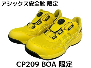 AVbNXSC EBWu CP209 BOA {A 750 @CugCG[ Ac uTCY/ԕisvuJ[v