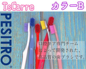 yVg PESITRO UltraClean 6580 J[ B-1`B-6͂炩灄 tooth brush uV SF24{ т̂ 炩 lpnuV oPA I[PA H QO  s  Mtg v