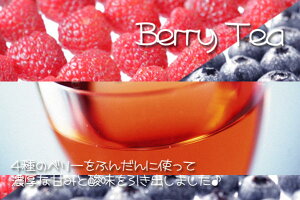 紅茶 フルーツティ「フォーベリー紅茶」(100g) berry tea 4種のベリー果実がたっぷり♪ベリー好きはやみつき【送料無料:メール便】