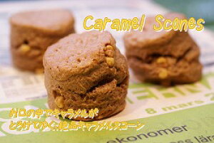 XR[ yӂӂXR[z L`RXR[3ZbgF 24ԂĂnI {p̖̎I