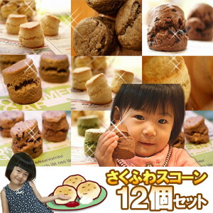 XR[ yzցz yӂXR[ZbgzXR[12Zbg24ԂĂnI{p̖̎I