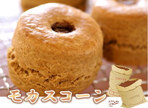 XR[ yӂӂXR[z JXR[3ZbgF 24ԂĂnI {p̖̎I