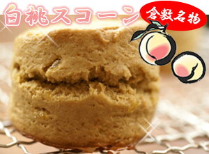 XR[ yӂӂXR[z XR[3Zbg F 24ԂĂnI {p̖̎I