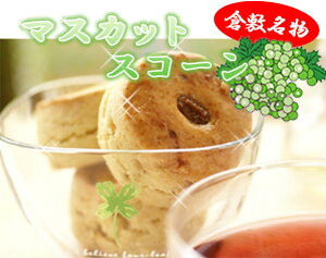 XR[ yӂӂXR[z }XJbgXR[3ZbgF 24ԂĂnI {p̖̎I