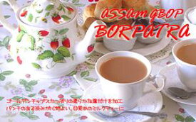 紅茶 茶葉 インド紅茶：2023年アッサムセカンドフラッシュ・ボルパトラ茶園クオリティーGBOP (50g) メール便：送料無料