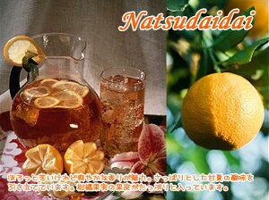 g t[ceBuÉčgvnatsudaidai tea (1000g) (1kg) ÉẲʔ炽ՂقƋꂢǑu₩ȍ肪͂̊Éčg Ɩp::z