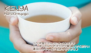 2023年ケニア紅茶:KENYACTC「ケニア」(100g) キリンニャガメルー 紅茶 送料無料:メール便