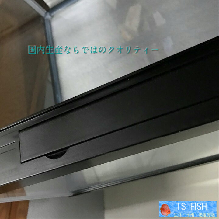 楽天市場】90センチランチュウ水槽 ガラス水槽 900×450×300 