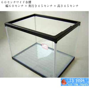 60Z`Z` KX@ؐ쏊@60s4545@100bg@fBXJX@^@@@Yi