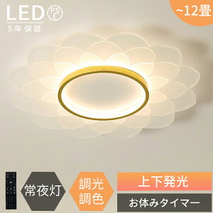 y2025NŐV^r[TtzV[OCg LED  k F ȃGl VƖ X}z R tȒP 6 8 10 12 邢 CeA Ɩ a m  