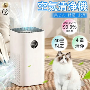 y2025N~ŐV^z C@ ybg RpNg ^ y UV 40  É tB^[ ԕ ECX C EL ybgL nEX_Xg PM2.5  ^oR R ^C}[ 