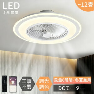 y2025NŐV^5Nۏ؁zV[Ot@Cg V[Ot@ ^ DC[^[ Cgt Ɩ V[OCg T[L[^[  Cz y 8 10 12 @t 