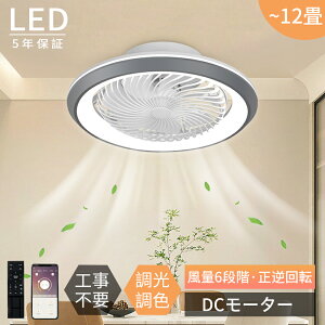 y2025NŐV^5Nۏ؁zV[Ot@Cg t@tƖ LED V[OCg 81012 T[L[^[  @ É Ɩ F 铔 @\ 360xU