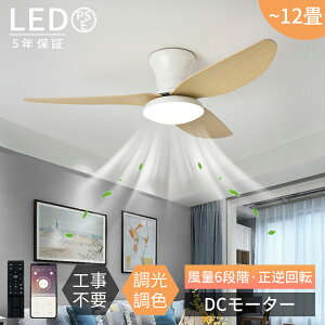 y2025NŐV^5Nۏ؁zV[OCg Rt  F V V[Ot@Cg t@ V[Ot@ DC[^[ LEDV[OCg ^ t@t Cg