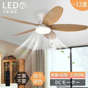 y2025NŐV^r[TtzV[Ot@Cg t@t  Z~bNq[^[ @ k t] t@ V[Ot@ 8 10 12 Rt DC[^[ LED