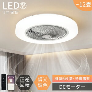 y2025NŐV^r[TtzV[Ot@Cg Ɩ V[Ot@ led 6 8 12 F  t] DC[^[ k t@tƖ Ɩ VƖ @ V