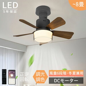 ファンライト 4畳」の人気商品一覧 | 安い商品を通販サイトから探す 