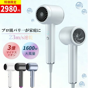 �w�A�h���C���[ �h���C���[ �啗�� �É� �y�� ���� �}�C�i�X�C�I�� 1200W/1600W �w�A�h���C���[ �y�� 23m/s ���� �╗ 3�i�K���� �M�ی� �Ód�C���� �ᑛ�� �P�� �ȃG�l �����h���C���[ �������P 
