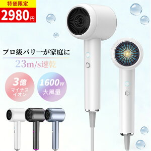 �w�A�h���C���[ �h���C���[ �啗�� �É� �y�� ���� �}�C�i�X�C�I�� 1200W/1600W �w�A�h���C���[ �y�� 23m/s ���� �╗ 3�i�K���� �M�ی� �Ód�C���� �ᑛ�� �P�� �ȃG�l �����h���C���[ �������P 