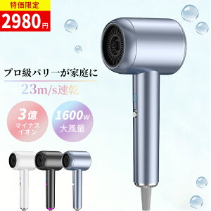 �w�A�h���C���[ �h���C���[ �啗�� �É� �y�� ���� �}�C�i�X�C�I�� 1200W/1600W �w�A�h���C���[ �y�� 23m/s ���� �╗ 3�i�K���� �M�ی� �Ód�C���� �ᑛ�� �P�� �ȃG�l �����h���C���[ �������P 