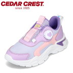 セダークレスト CEDAR CREST CC-3118 キッズ靴 子供靴 靴 シューズ 2E相当 キッズスニーカー ダイヤルシューズ ダイヤルキューティ 子供 女の子 ボリュームソール トレンド ニュアンスカラー おしゃれ パープル SP