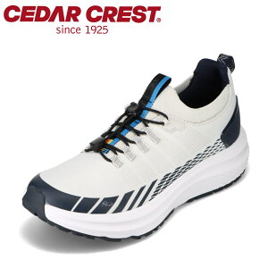 ySiP15{I1500:00`24HzZ_[NXg CEDAR CREST CC-9800 YC C V[Y 2E Xj[J[ hV[Y h h tBbg z[h jbg CgO[ SP