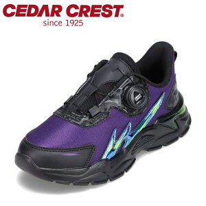 ySiP5{I6`9܂ŁzZ_[NXg CEDAR CREST CC-3124 LbYC qC C V[Y 2E Xj[J[ LbYXj[J[ qC ^C _C EȒP X^CbV  p